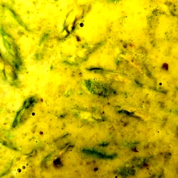 Bärlauchsuppe